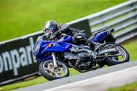 PJ-Motorsport-2019;anglesey;brands-hatch;cadwell-park;croft;donington-park;enduro-digital-images;event-digital-images;eventdigitalimages;mallory;no-limits;oulton-park;peter-wileman-photography;racing-digital-images;silverstone;snetterton;trackday-digital-images;trackday-photos;vmcc-banbury-run;welsh-2-day-enduro